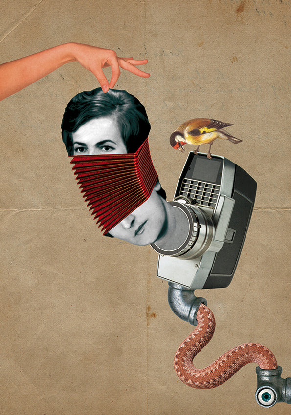 DIGITAL - THE GIPSY LADY